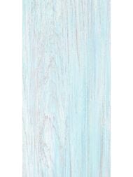 ������ ��������� Alma Ceramica North (249x500) ������� TWU09NRT606 (��.�)