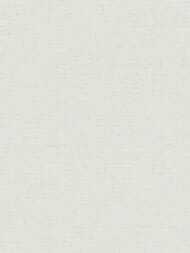 ���� ��������� �� ��������� As Creation Pacifica Deluxe (1,06�10,05) ����� 39992-1 (���.)