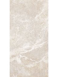 ������ ��������� Alma Ceramica Persey (249x500) ������� TWU2550PRS40 (��.�)