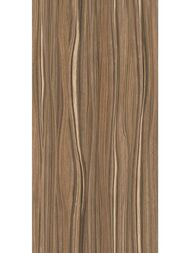 ������ ��������� Alma Ceramica Plesso (249x500) ���������� TWU09PLS424 (��.�)