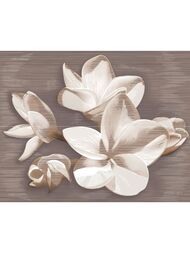 ����� AZORI Amati Plumeria Alba (402�505) ���������� (��.)