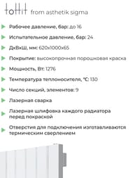 �������� �������� toHit from asthetik sigma, 9 ������, 620�1000�65, 1276 ��, ������������, ���������