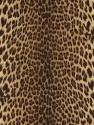 ���� ��������� �� ��������� ROBERTO CAVALLI  9 (1,06�10,05) ��������, ���������� 21041 (���.)