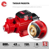 ������������� ����� ���� ��-�1-800-� ��������, 800 ��, 43 �/���, ����� 50�