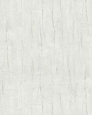 ���� ��������� �� ��������� VALENTIN YUDASHKIN 5 (1,06�10,05) ����������, ����� 86047 (���.)