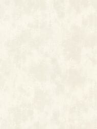 ���� ��������� �� ��������� Solo Orion (1,06�10,00) �������, ��� ���������� A3208-2 (���.)