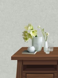     Erismann Gentle ER12207-24 (1,0610,05)  (.)