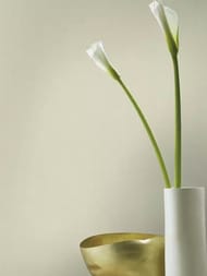 ���� ��������� �� ��������� Rasch Allegretto (0.53x10.05) ���������, ������� 423914 (���.)