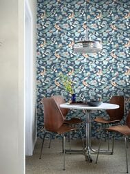     Rasch Kimono (0,5310,05) ,  409444 (.)