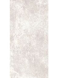 ������ ��������� Alma Ceramica Piemonte (249x500) ����� TWU09PMT404 (��.�)