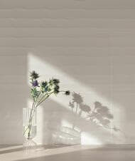 ������ ��������� ITALON 3D Experience Wave (400�800) �����, 600010002156 (��.�.)