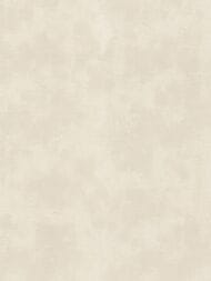 ���� ��������� �� ��������� Solo Orion (1,06�10,00) �������, ��������� A3208-4 (���.)