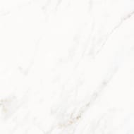   Laparet Tenderness .(600600) ,  (..)