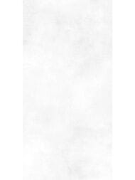 ������ ��������� Alma Ceramica Richard (249x500) ����� TWU09RCD000 (��.�)
