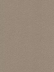     Marburg Structure (1,0610,05) ,  31399  (.)