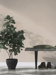 ���� ��������� �� ��������� Rasch Country Charme (0,53�10,05) �����, �����-������� 448566 (���.)