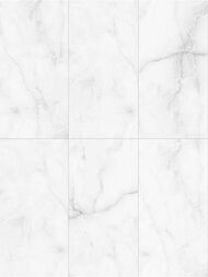 ��������������� ������ Staro Palacio Antisky Grey light Polished (600�1200�9) �����, ����� (��.�.)