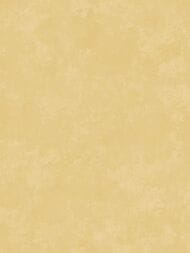 ���� ������������ Hygge Hg6 004 (1,00�10,05) ����������, ������ (���.)