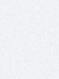 ���� ��������� �� ��������� Wall Up Estetica (1,06x10,05) ������, ����� 655520 (���.)