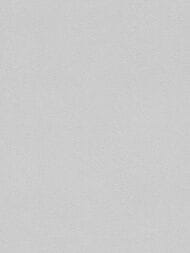 ���� ��������� �� ��������� Rasch Allegretto (0.53x10.05) ���������, ����� 479447 (���.)