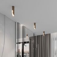 ��������� ���������� Elektrostandard Apex 25113/LED a068290, ������
