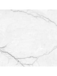   Laparet Torso Bianco .(600600) , , 9999297063  (..)
