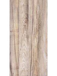������ ��������� Alma Ceramica Dublin (249x500) ���������� TWU09DBL404 (��.�)