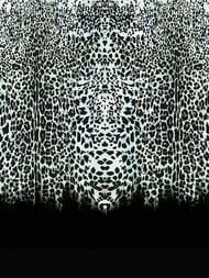 ����� ��������� �� ��������� ROBERTO CAVALLI Home 8 (3,0�3,0) �������, ��������� 19114 (���.)