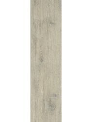 ��������������� ������ ColiseumGres Brenta White (225�900) ������� 6104492  (��.�.)