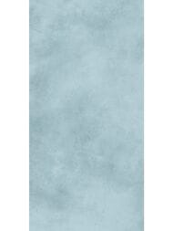 ������ ��������� Alma Ceramica Richard (249x500) ������� TWU09RCD606 (��.�)