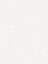 ���� ��������� �� ��������� Wall Up Bright Whisper (1.06x10.05) �����, ������� W189126 (���.)