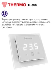  Thermoreg TI-300     " " 