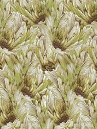 ���� ��������� �� ��������� ROBERTO CAVALLI  9 (1,06�10,05) �����, ������� 21008 (���.)