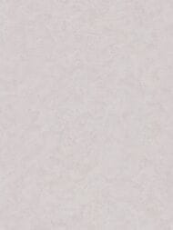 ���� ��������� �� ��������� As Creation Pacifica Deluxe (1,06�10,05) ����� 3994-58 (���.)