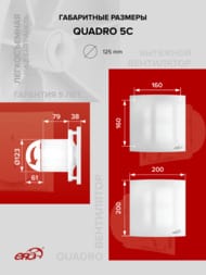 ���������� ERA QUADRO D125 ���������, 140 �3/�, 36 ��, ���.������, �����, QUADRO 5C