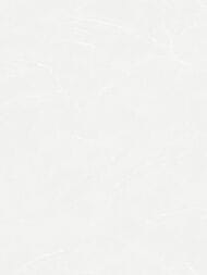 ���� ��������� �� ��������� Wall Up Bright Whisper (1.06x10.05) ������, ������� W190101 (���)