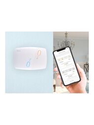   BiZone , , Wi-Fi , 