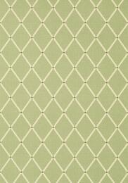���� �������� Thibaut Chestnut Hill wp (0,69�8,22) ������� T72636 (�����)
