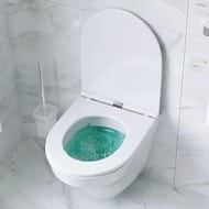 Комплект инсталляции AM.PM клавиша Pro L белая + унитаз Inspire FlashClean сиденье микролифт IS49001.501700