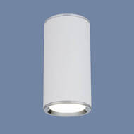 ���������� ���������� Elektrostandard DLN101 GU10 WH , �����