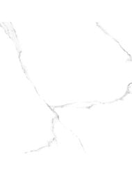��������������� ������ Alma Ceramica Carrara (600x600) ����� GFU04CRR00R (��.�)