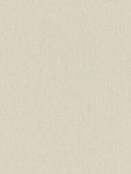 ���� ��������� �� ��������� Rasch Allegretto (0.53x10.05) ���������, ������� 423914 (���.)