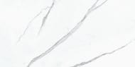 ��������������� ������ Villeroy & Boch NOCTURNE White (600�1200) ����� K2730ZN1P (��.�.)