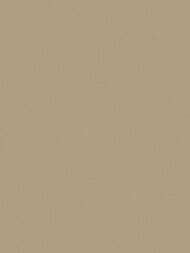 ���� ��������� �� ��������� Wiganford All time Trend Art (1,06�10,05) ����������, WG0212 (���.)