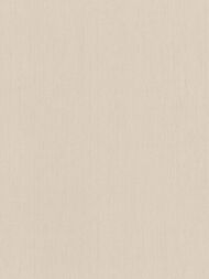     Rasch Indian Style (0,5310,05) , - 746044 (.)