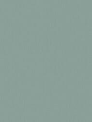 ���� ��������� �� ��������� Wiganford All time Trend Art (1,06�10,05) �����-���������, WG0219 (���.)