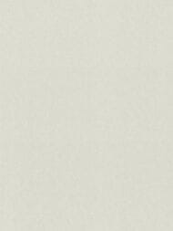 ���� ��������� �� ��������� Rasch Gentle Elegance (1,06x10,05) ���������, ����� 980325 (���.)