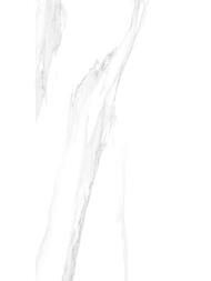 Керамогранитная плитка LCM Статуарио (600x1200) 60120STA15P (кв.м) — миниатюра 1