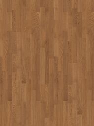 ��������� ����� TARKETT Salsa ��� ������ ������� ���� (2283�194�14) ���������� (��.�.)