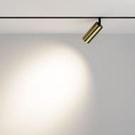�������� ���������� Maytoni Focus Led Exility (����� ���) TR032-2-12W4K-M-BBS 4000K 12�� 36�, IP20, ������